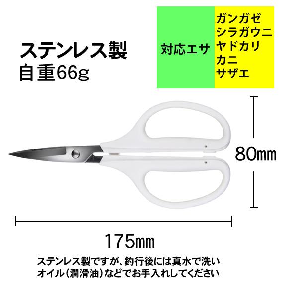 石鯛用ハサミ 格安ハサミ エサ切りハサミ ステンレスハサミ 石鯛万能