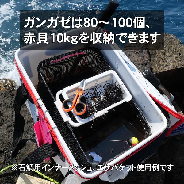 Mr Ishidai 石鯛エサ入れ ガンガゼ エサ収納 石鯛バッカン スクエアバッカン45 Ms14 石鯛市場 通販 Yahoo ショッピング