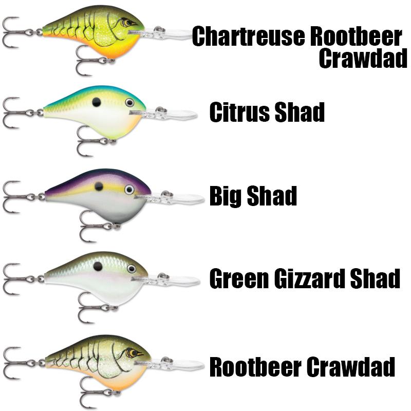 ラパラDT6 10個セット ラパラDT6 10個セット ラパラ/DT-6 - HONEYSPOT