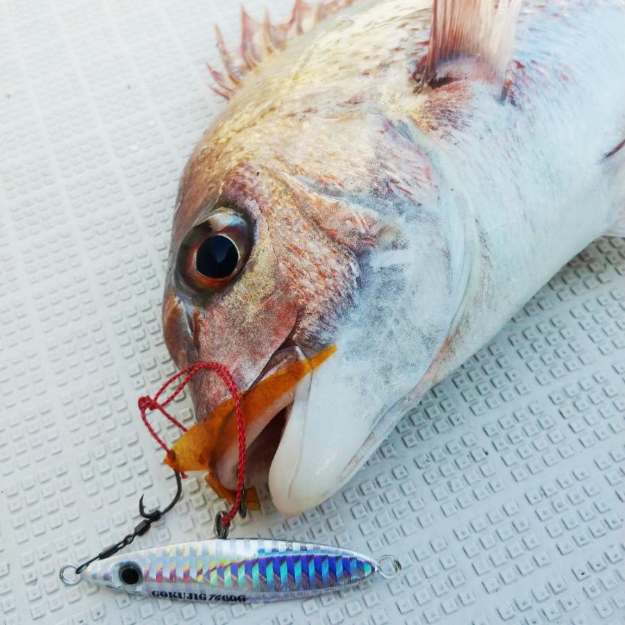 59 以上節約 Cpost 魅せて喰わせる タングステン ジグ 極ジグタングステン 60g Goku Jig60 Aynaelda Com