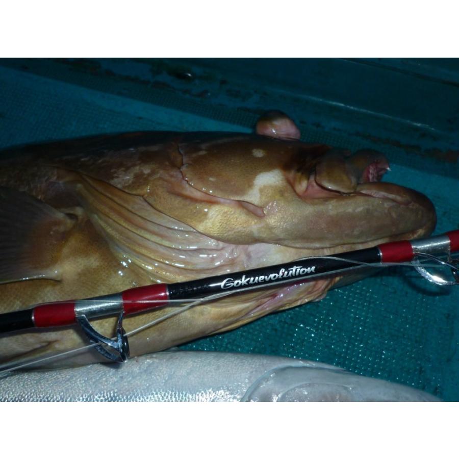 青物専用 二代目 高品質 青物キリング220-100号 BLACK(ori-aomono220-100)