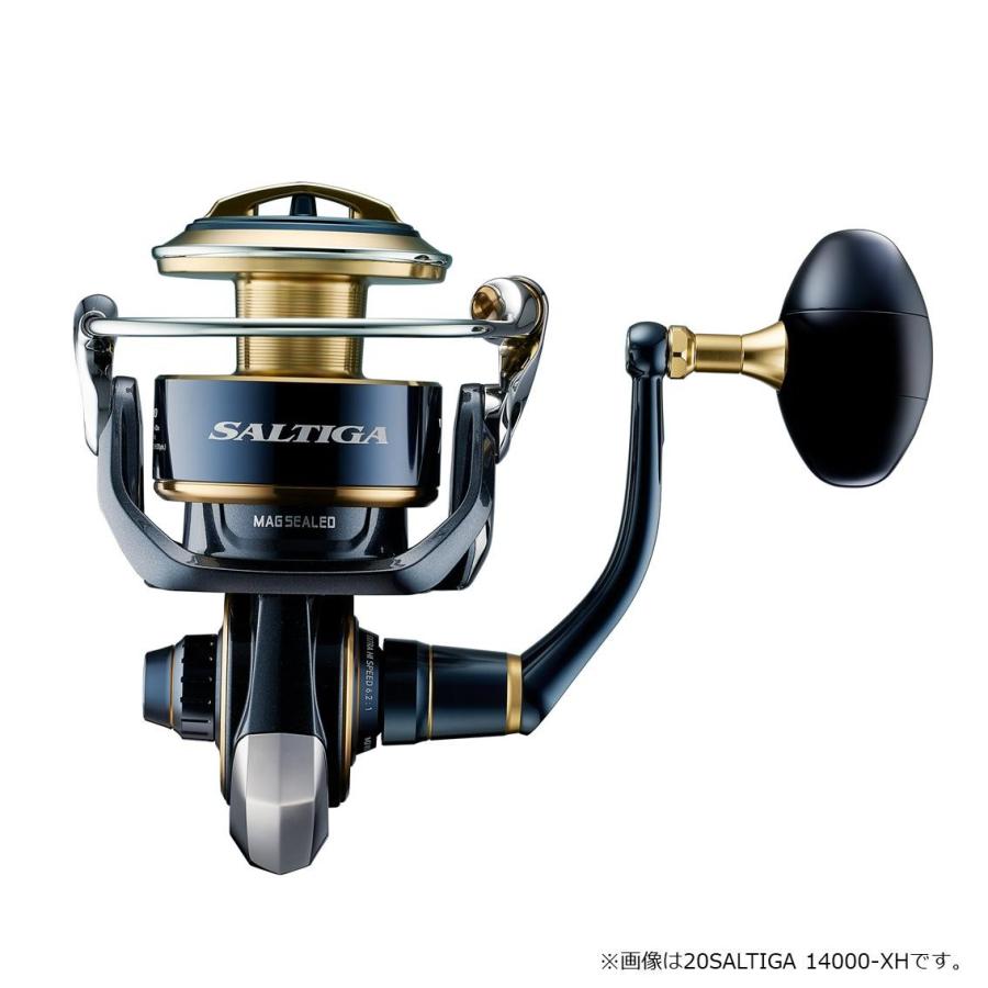 DAIWA（ダイワ） 20ソルティガ 10000-P : フィッシング相模屋Yahoo!店