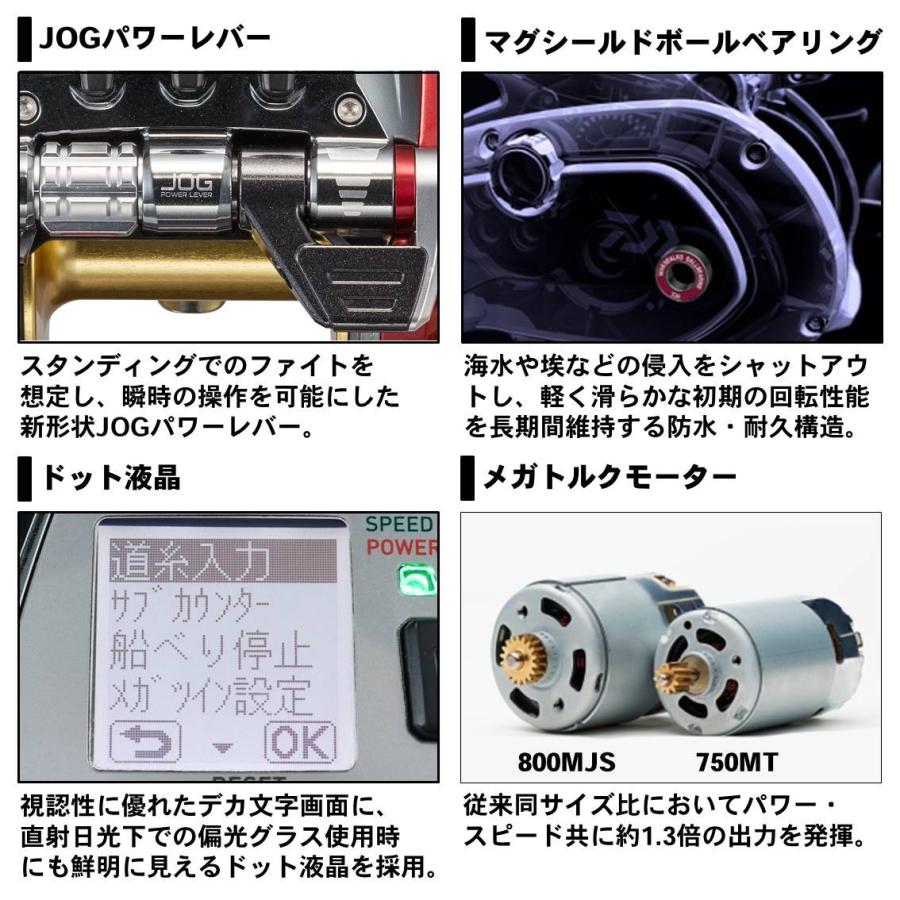DAIWA（ダイワ） シーボーグ800MJS 【19モデル】『糸を同時購入で
