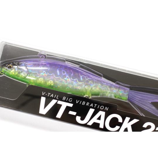 Fish Arrow フィッシュアロー × DRT VT-JACK VTジャック 210 #06