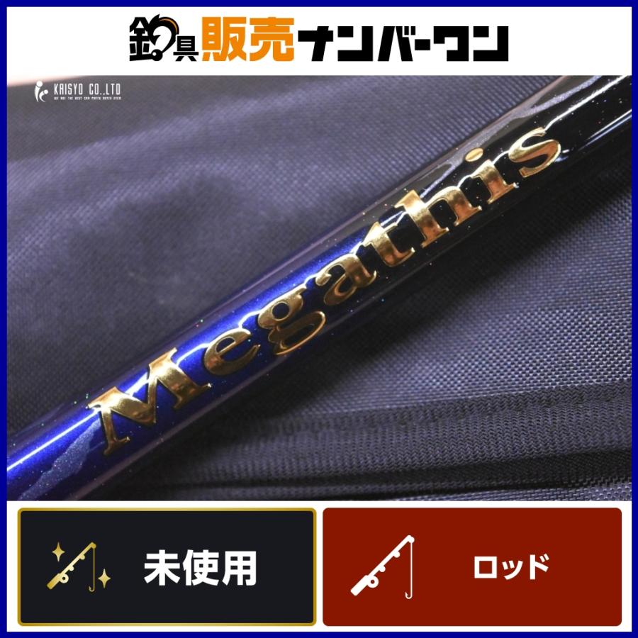 ダイワ 21 メガディス AGS 1-53・N DAIWA Megathis 1号 53 N 磯 ダイワ 21 メガディス AGS 1-53・N DAIWA Megathis 1号 53 N 磯
