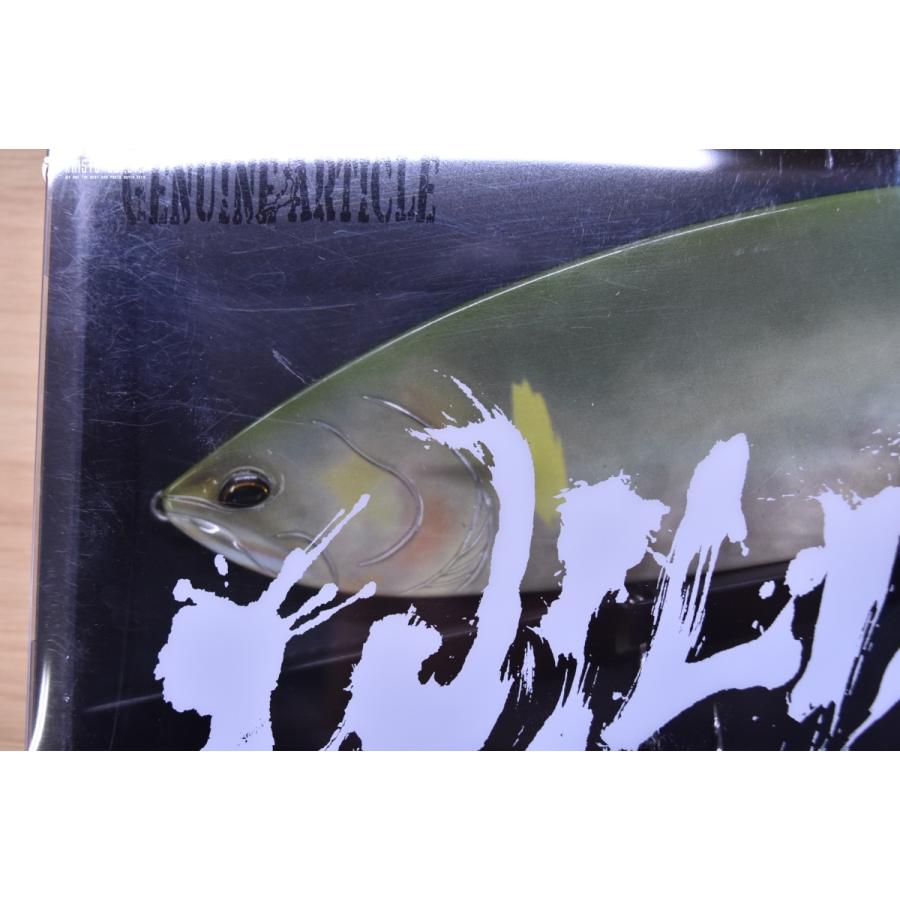 ワイルドルアーズ ワイルドビート アユ 285mm 185g WILD LURES BEAT