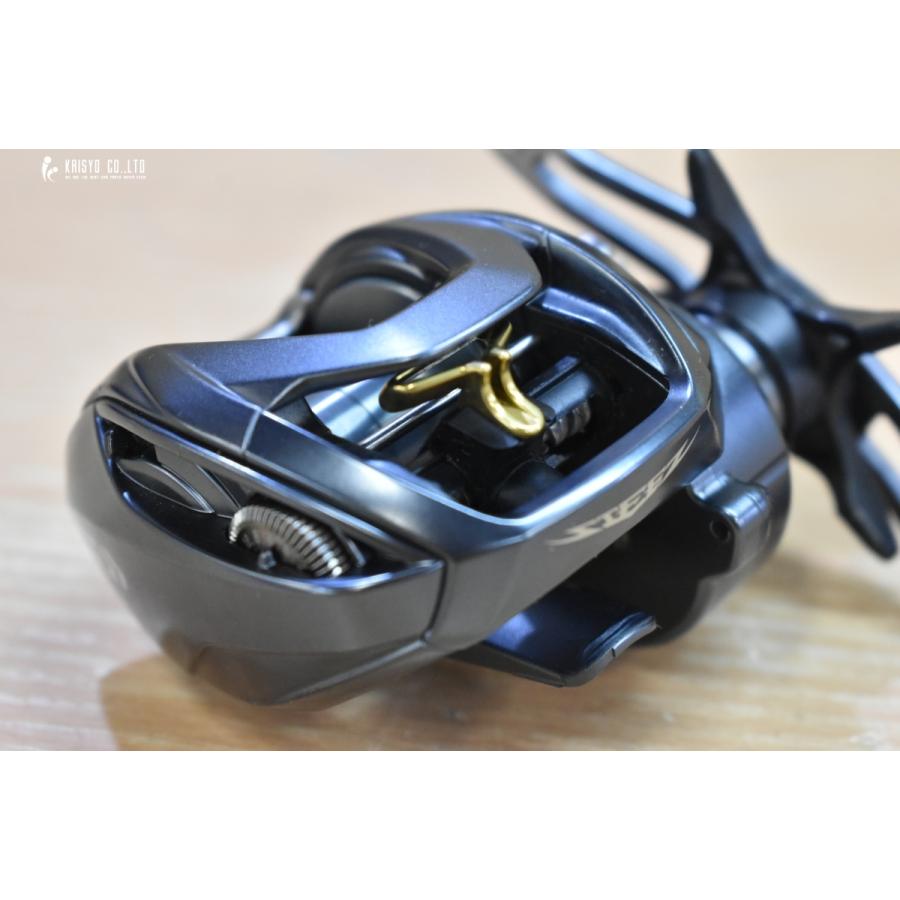 DAIWA（釣り） ダイワ スティーズ A TW 1016SHL 左巻き ベイト