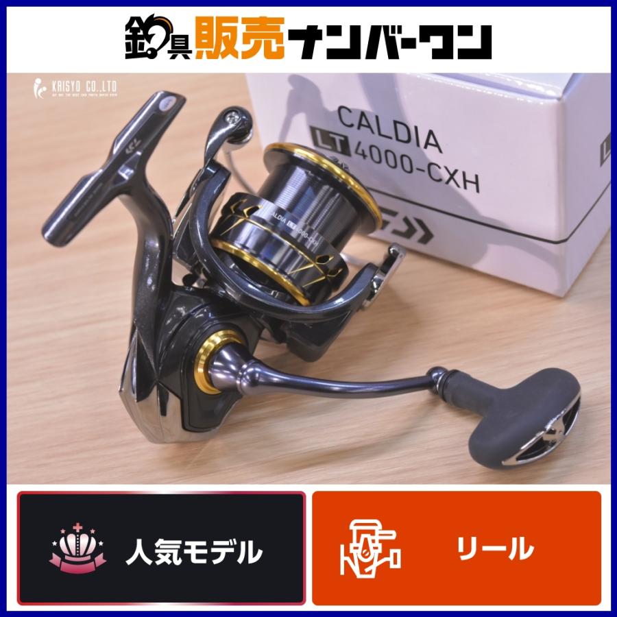 ダイワ カルディア LT4000S-C シーバス ライトショアジギング ダイワ カルディア LT4000S-C シーバス ライトショアジギング 【公式通販】