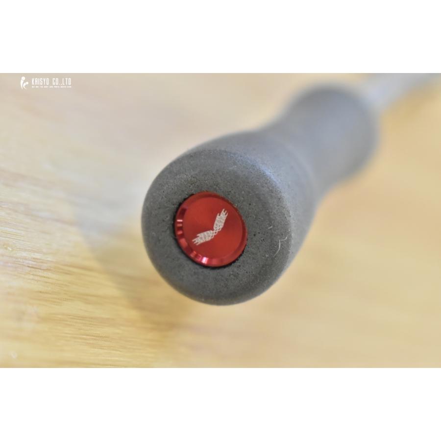 DAIWA（ダイワ） ハートランド 白震斬 八伍 852ML+FS-SV AGS22 DAIWA