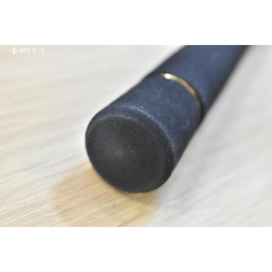 DAIWA（ダイワ） ソルティガ LJ 61H/XHB-S 未使用 DAIWA SALTIGA AGS