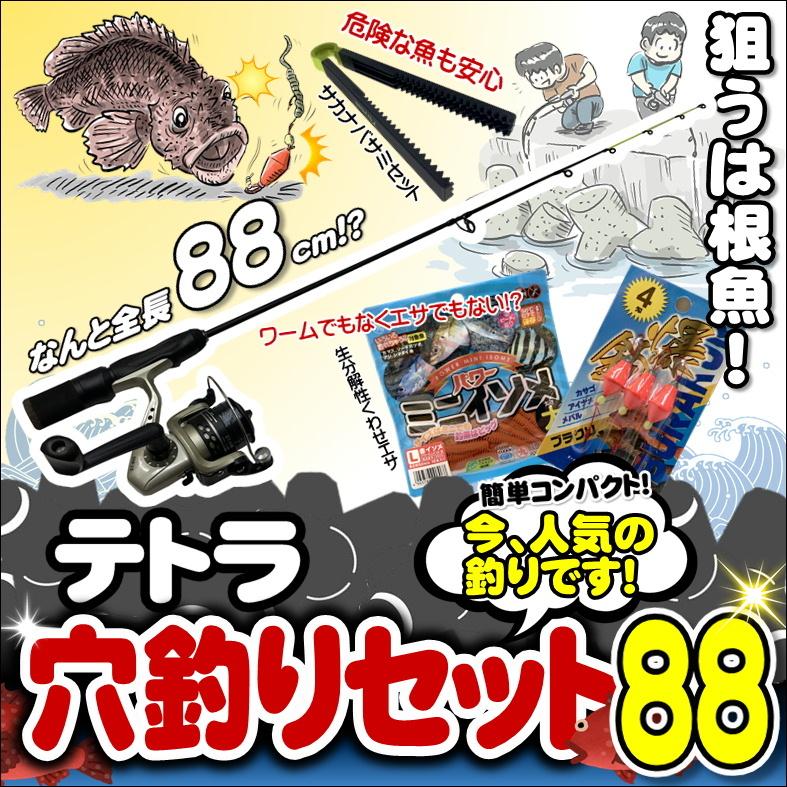 1617円 超ポイントアップ祭 初心者用テトラ穴釣りセット 竿cm 糸付きリール ブラクリ 魚ハサミ パワーイソメ 5点セット