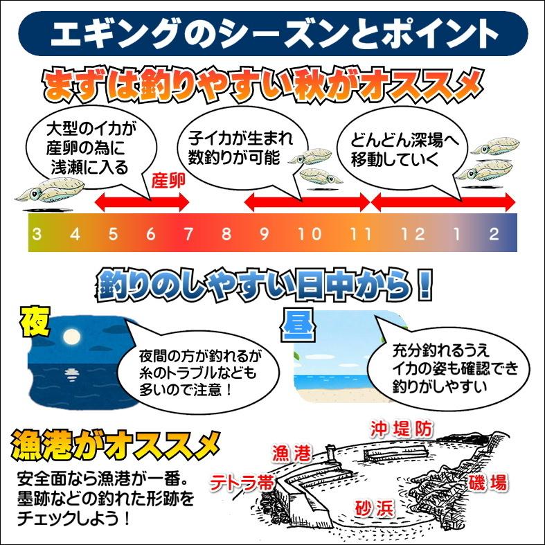 2514円 Salenew大人気 エギング入門セット ロッド スポーツラインリールpeライン付き エギ3 0号5本 エギケース スナップ リーダー ６点セット