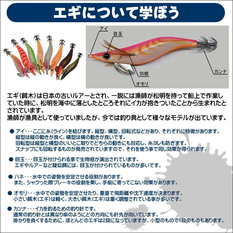 エギング入門セット ロッド・スポーツラインリールPEライン付き エギング入門セット ロッド・スポーツラインリールPEライン付き