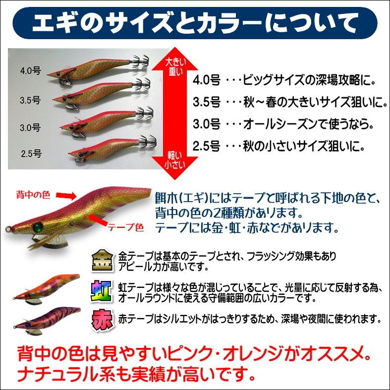 エギング入門セット ロッド・スポーツラインリールPEライン付き エギング入門セット ロッド・スポーツラインリールPEライン付き