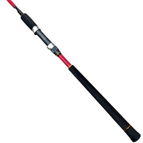 ショアジギング入門セット ロッド・国産PEライン付きリール(ラティアス