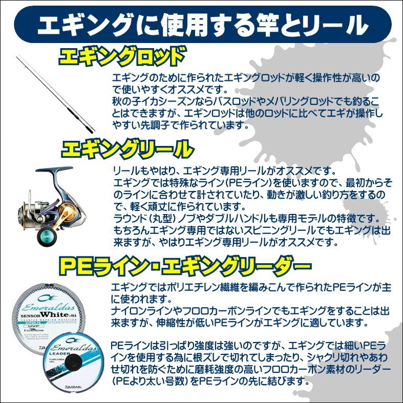 DAIWA（ダイワ） エギング入門セット ロッド・ジョイナスPEライン付き