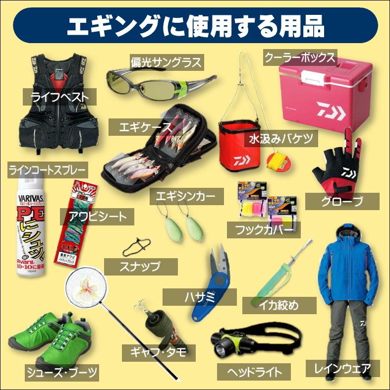 DAIWA（ダイワ） エギング入門セット ロッド・ジョイナスPEライン付き