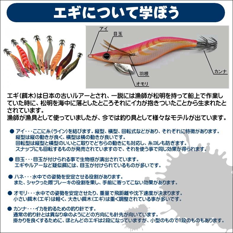 DAIWA（ダイワ） エギング入門セット ロッド・ジョイナスPEライン付き