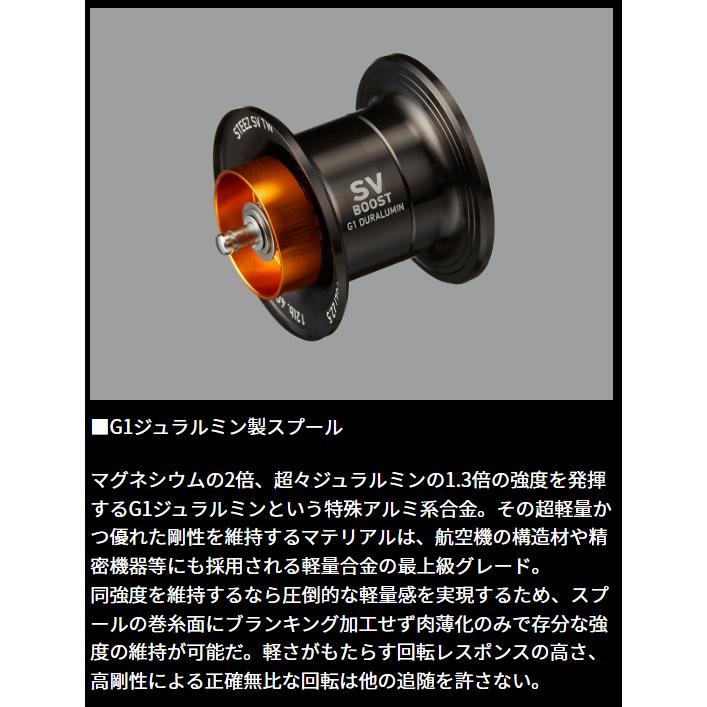 DAIWA（ダイワ） 24スティーズSV TW 100XHL : フィッシングトライ