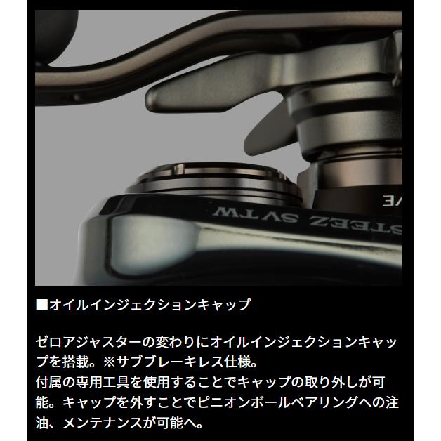 24スティーズxhl Daiwa 24 Steez SV TW 100 XH/XHL – Ryoshipro ダイワ