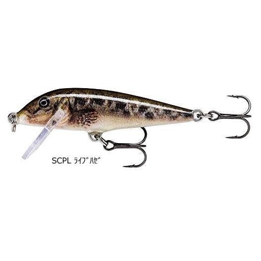 RaPaLa（ラパラ） カウントダウン 5cm CD5 #SCPL ライブハゼ / ルアー