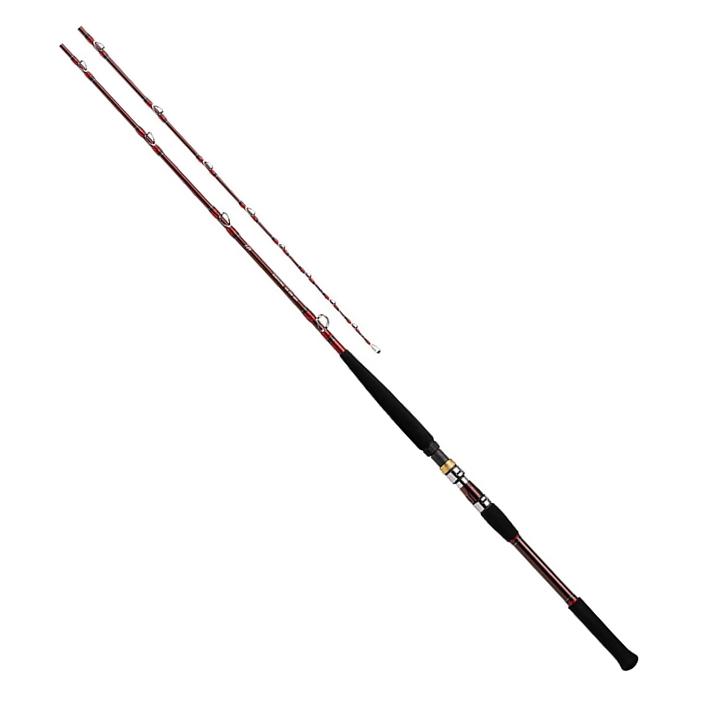 DAIWA（ダイワ） 船竿 21 ディープゾーン GS 300-205・R / daiwa