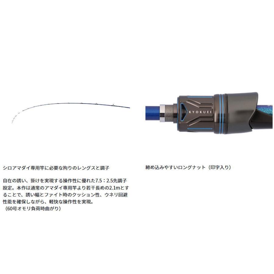 DAIWA（ダイワ） 極鋭シロアマダイ MH-210｜船竿 釣具 : 釣人館ますだ