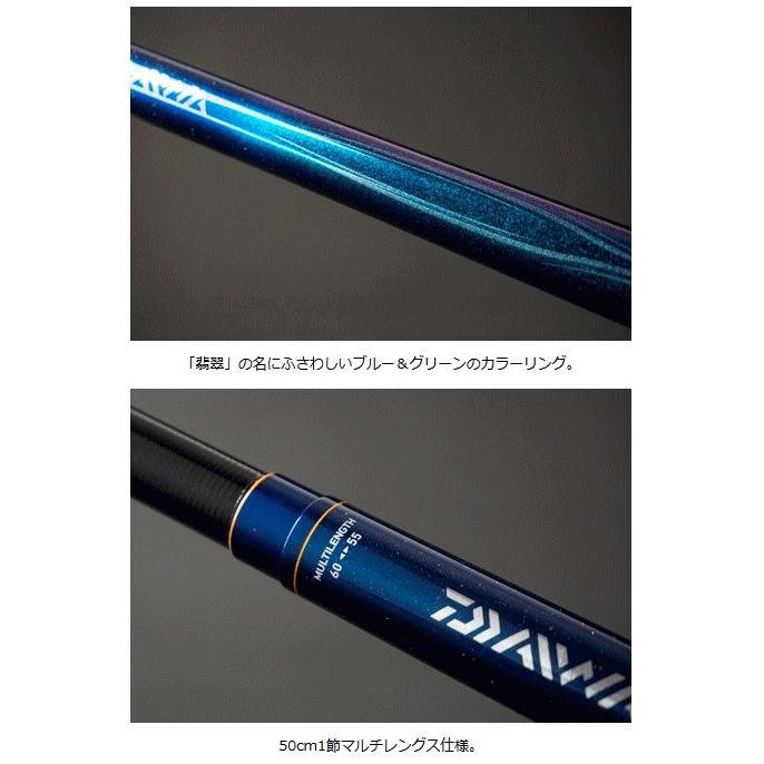 ダイワ 翡翠 冴 抜硬調 60M / daiwa / 釣具｜fishing-tsuribitokan｜02