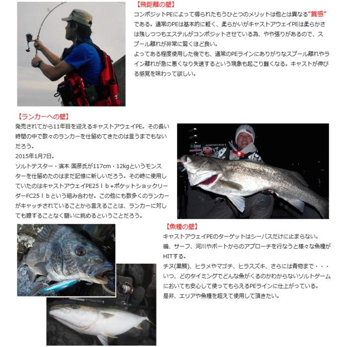 サンライン ソルティメイト キャストアウェイPE  12LB 150m / メール便可 / 釣具｜fishing-tsuribitokan｜03