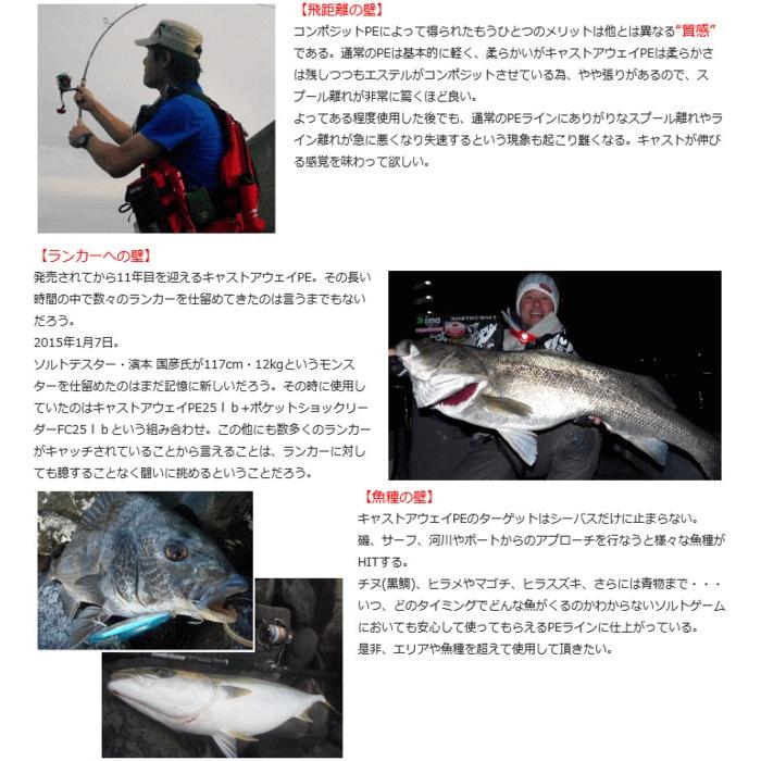 サンライン ソルティメイト キャストアウェイPE  50LB 150m / 釣糸 / メール便可 / 釣具｜fishing-tsuribitokan｜03