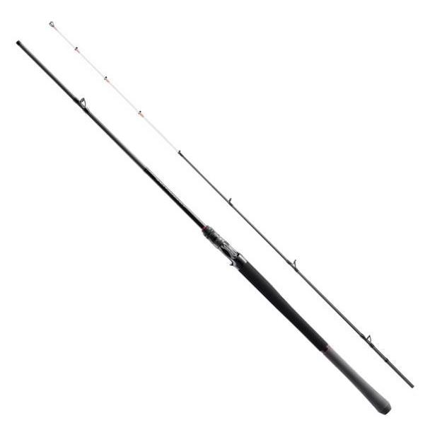シマノ（SHIMANO） 25 ソルティーアドバンス オフショアモデル