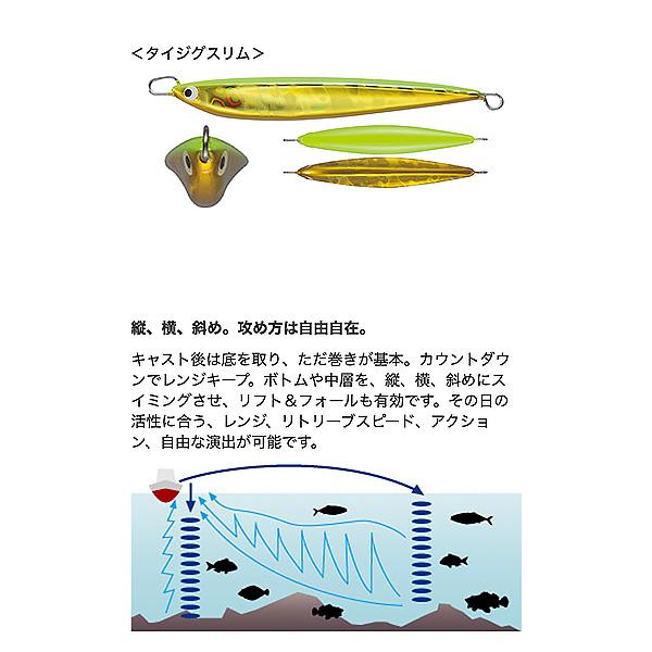 タックルハウス タイジグ スリム 60g TJS60 (メタルジグ ジギング) ゆうパケット可｜fishing-you｜02