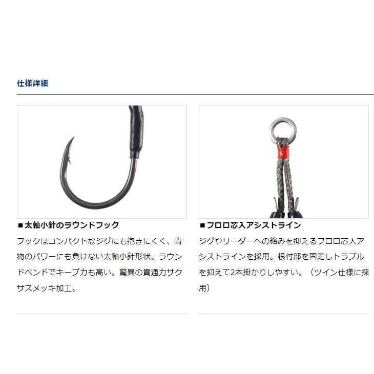 DAIWA（ダイワ） ソルティガアシストSS ライトジギング TG リア