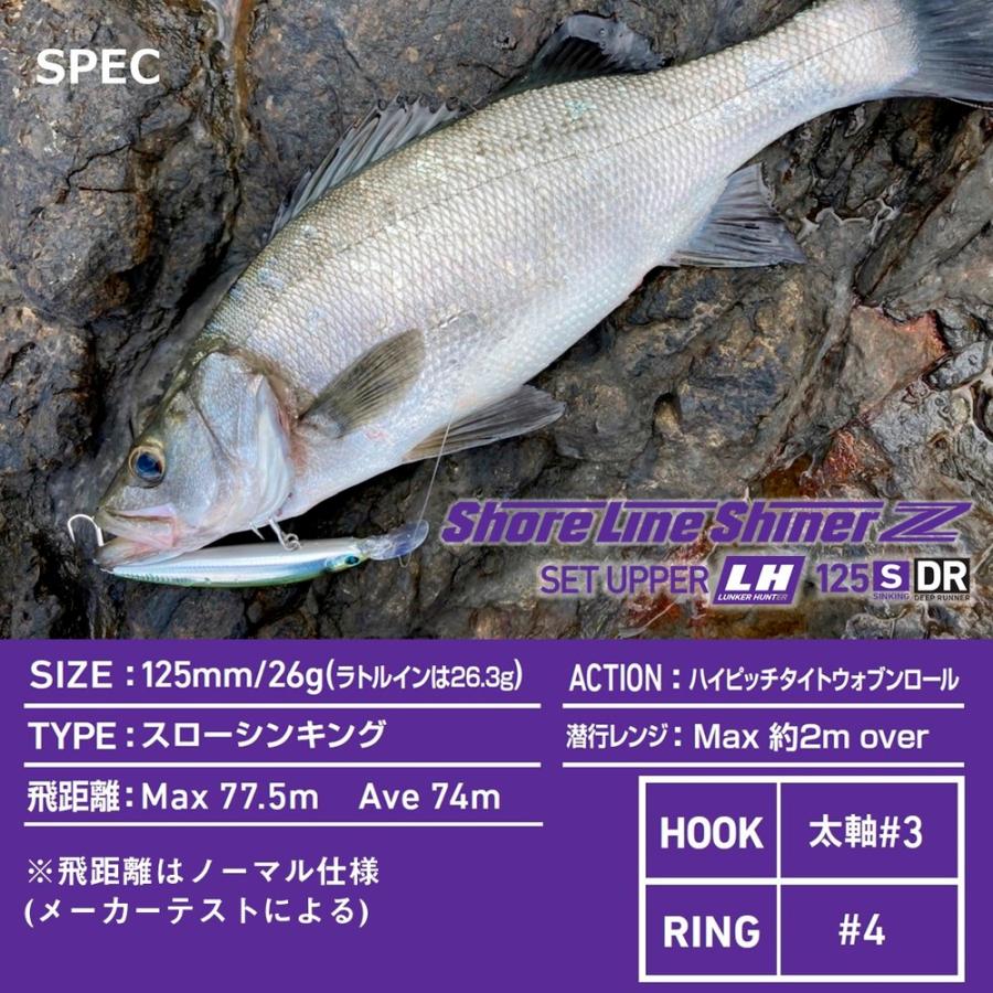 DAIWA（ダイワ） 【全11色】 ショアラインシャイナーZ セットアッパー