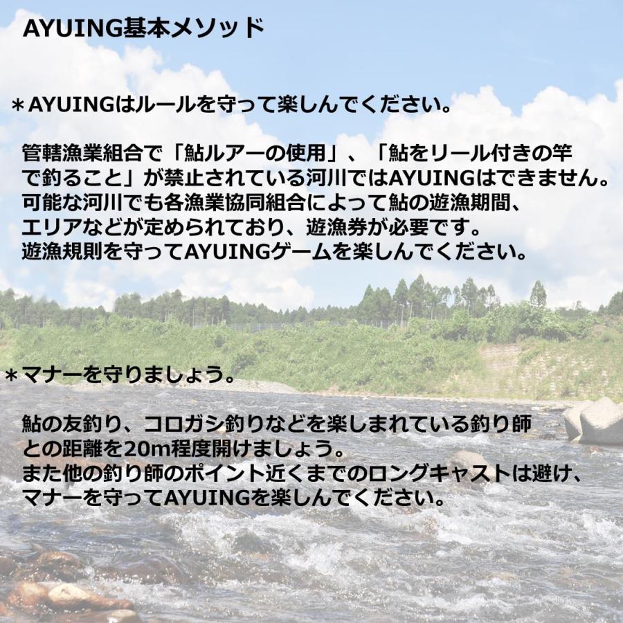 全4色】 ダイワ アユイング ミノー 95SS (鮎 ルアー 釣り 用品 全4色】 ダイワ アユイング ミノー 95SS (鮎 ルアー 釣り 用品