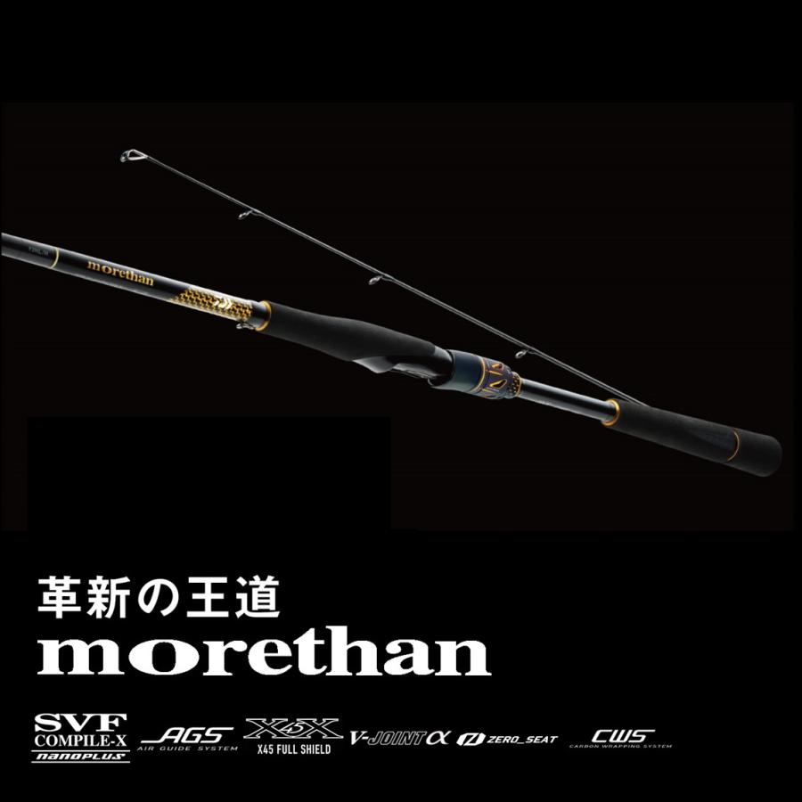 ダイワ 25 モアザン 96ML/M J (Daiwa シーバス ロッド 竿 釣り 2ピース