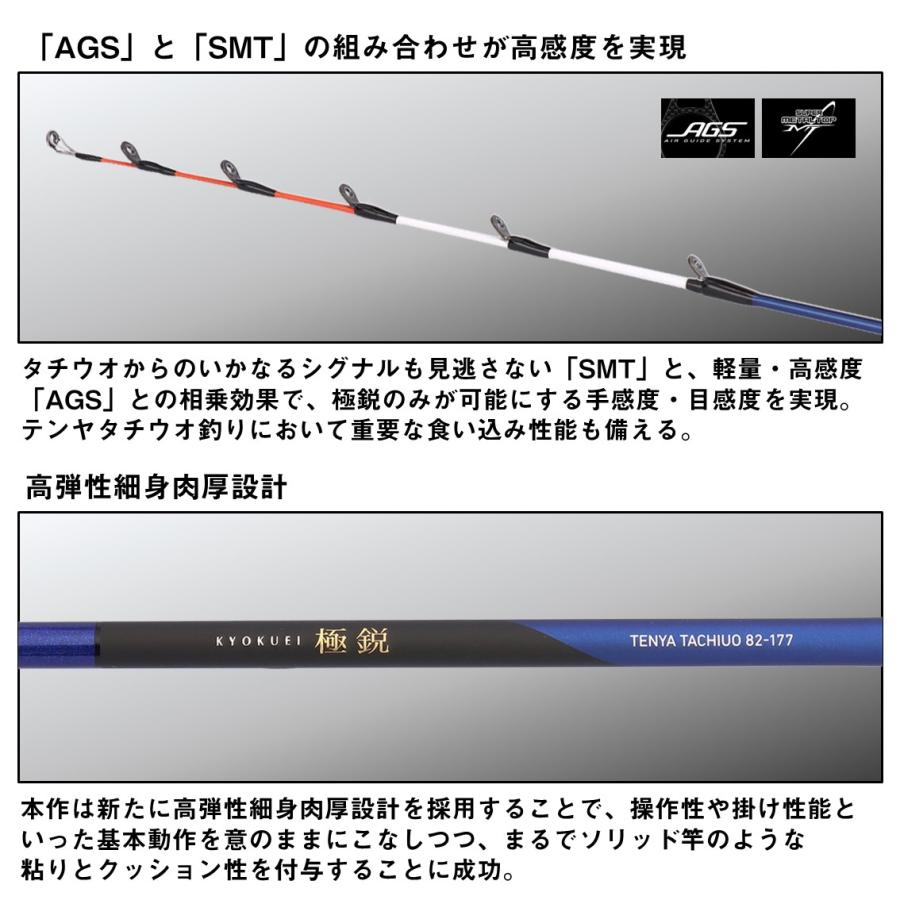 ダイワ 極鋭テンヤタチウオ 91H-161 (Daiwa 竿 ロッド 船 海 釣り