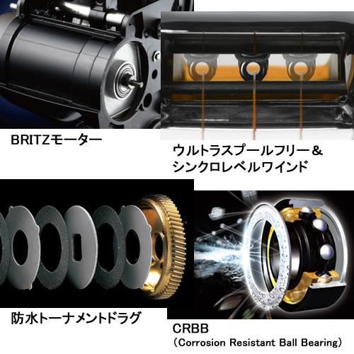 DAIWA（ダイワ） (送料無料) 16 レオブリッツ S500 (電動リール