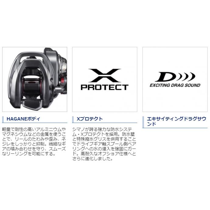 シマノ（SHIMANO） 21 エンゲツ(ENGETSU) 101PG (左) (ジギング