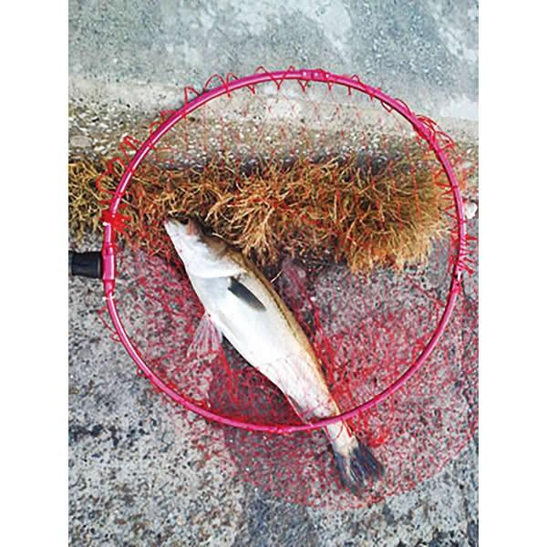 SHIMANO リール　ルアー　タモ網　セット フィッシングツール シマノ 鮎」の人気商品一覧 | 安い商品を通販