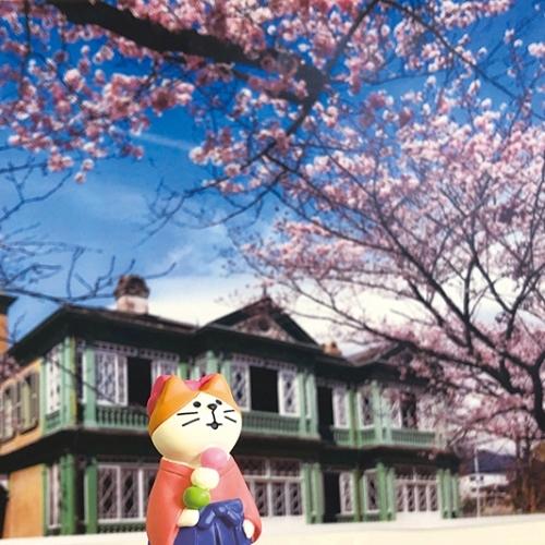 DECOLE concombre コンコンブル はいからさん猫 /メール便対応可 DECOLE concombre コンコンブル はいからさん猫 /メール便対応可