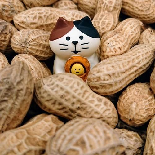 DECOLE（デコレ） concombre×FISHING CAT コンコンブル ピーナッツ猫