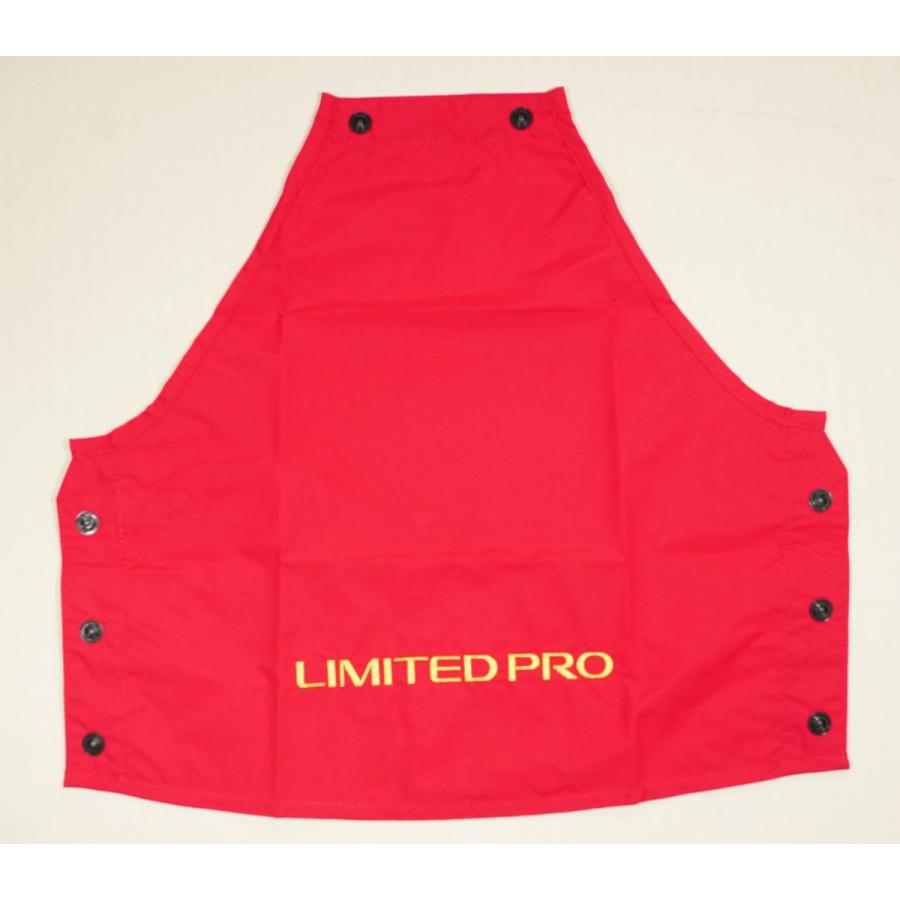 シマノ（SHIMANO） AC-198Q フローティングベスト CORE ACT 背面