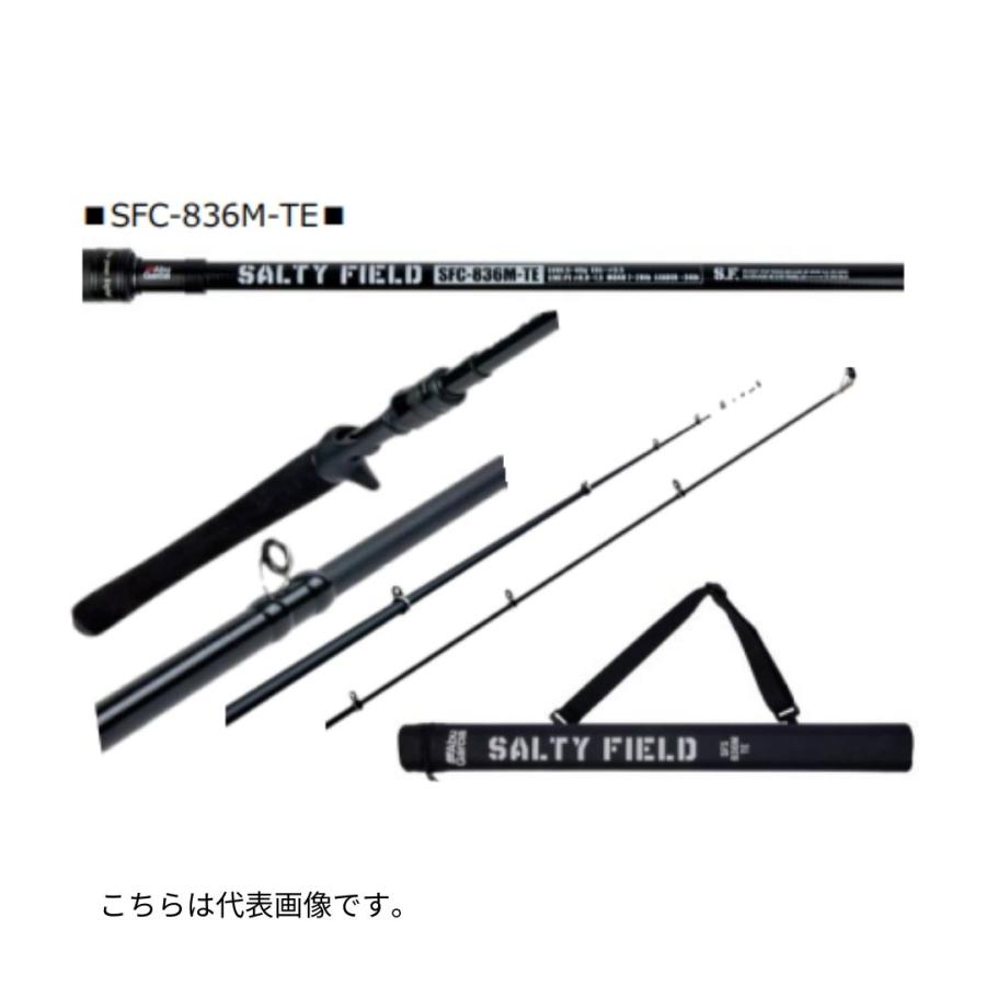 アブ ガルシア SALTYFILD ソルティーフィールド SFS-936M-TE アブ ガルシア SALTYFILD ソルティーフィールド SFS-936M-TE