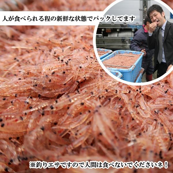 フィッシングマックスオリジナル 冷凍 アミエビ 中サイズ 内容量約1 6kg アミエビ ブロック サビキ釣り エサ 釣りエサ クール便 フィッシングマックス 通販 Paypayモール