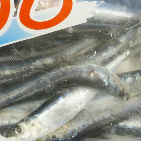 フィッシングマックスオリジナル オリジナル 冷凍イワシ 海上釣堀 エサ