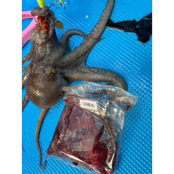 ミックスホルモン 200g クール便 海上釣堀 ブッコミ釣り 船タコ 爆買