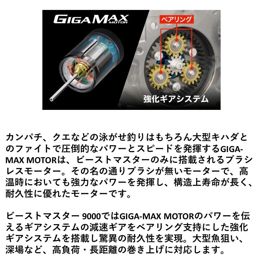 22 ビーストマスター 9000 PE6号-1100m リールに巻いて発送 シマノ 電動リール 糸巻き設定済｜fishingmax-webshop｜02