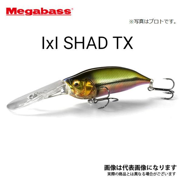 Megabass（メガバス） I×I SHAD TX ギルっ子 爆買 : フィッシング