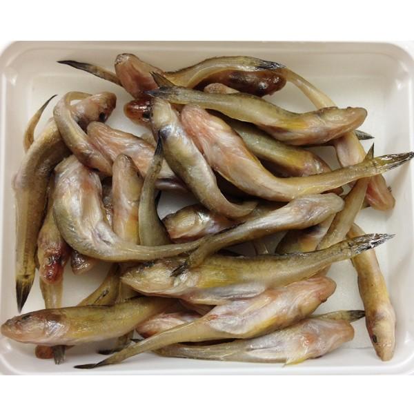 浜市 Gクリル ハゼコ 刺し餌 エサ 釣りエサ クール便 爆買